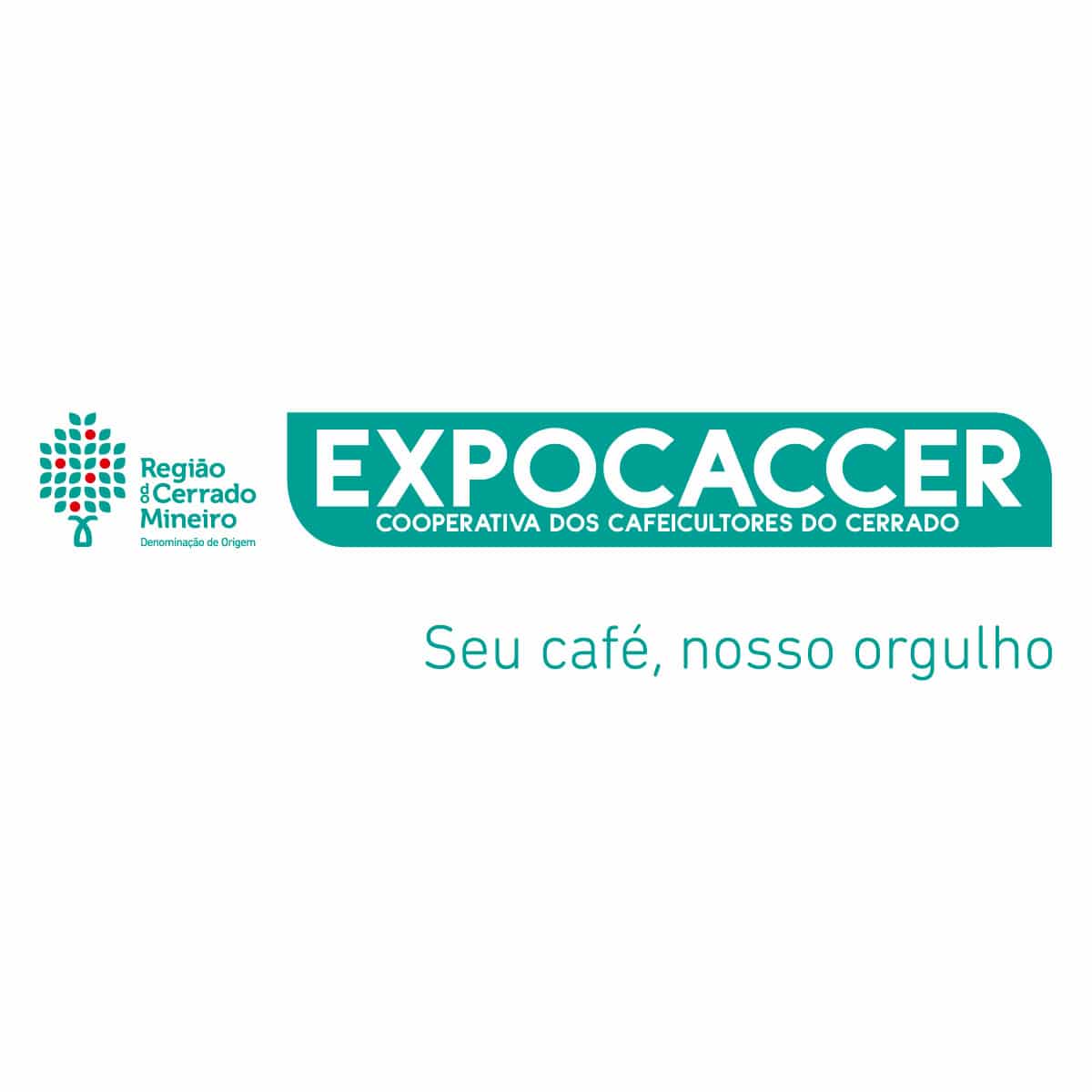 Célio Rafael Martins Júnior - Coordenador de TI - Expocaccer - Cooperativa  dos Cafeicultores do Cerrado