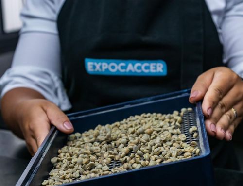 Expocaccer inicia recebimento de amostras de café para Etapa Campeões Expocaccer 2022