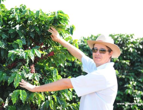 Cooperado da Expocaccer, Marcelo Montanari, é destaque pelas práticas regenerativas realizadas na cafeicultura