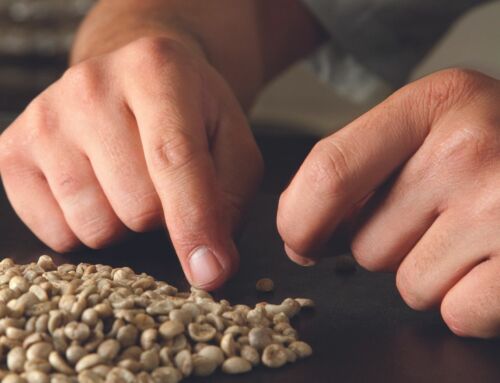 Cooperativa dos Cafeicultores do Cerrado anuncia recebimento de amostras de cafés especiais para concurso de qualidade